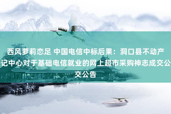 西风萝莉恋足 中国电信中标后果：洞口县不动产登记中心对于基础电信就业的网上超市采购神志成交公告