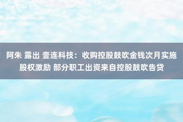 阿朱 露出 壹连科技：收购控股鼓吹金钱次月实施股权激励 部分职工出资来自控股鼓吹告贷