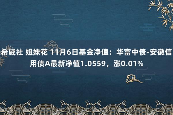 希威社 姐妹花 11月6日基金净值：华富中债-安徽信用债A最新净值1.0559，涨0.01%