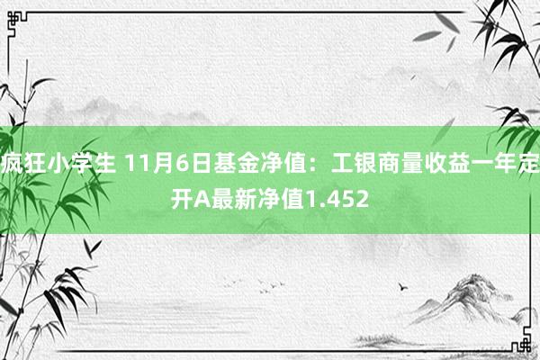 疯狂小学生 11月6日基金净值：工银商量收益一年定开A最新净值1.452