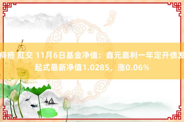 痔疮 肛交 11月6日基金净值：鑫元嘉利一年定开债发起式最新净值1.0285，涨0.06%