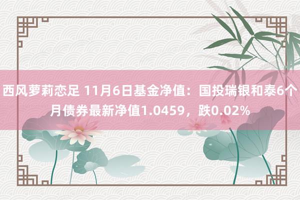 西风萝莉恋足 11月6日基金净值：国投瑞银和泰6个月债券最新净值1.0459，跌0.02%