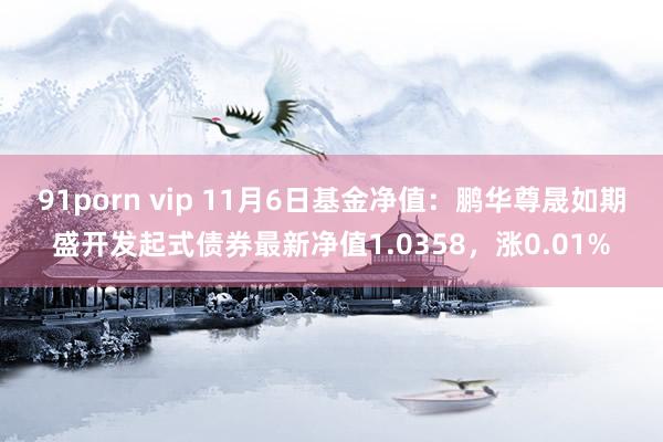 91porn vip 11月6日基金净值：鹏华尊晟如期盛开发起式债券最新净值1.0358，涨0.01%