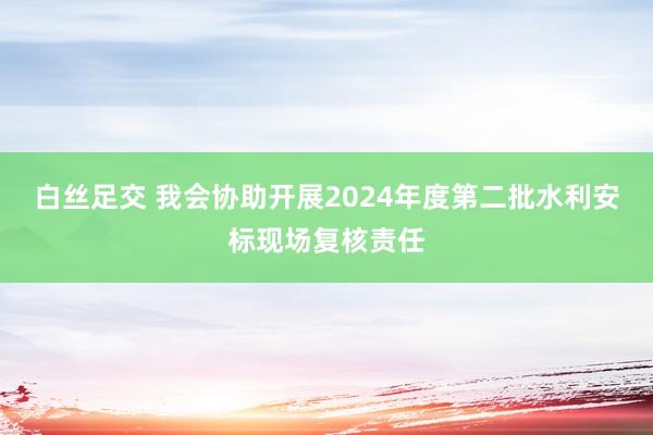 白丝足交 我会协助开展2024年度第二批水利安标现场复核责任