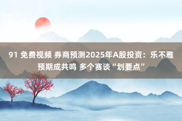 91 免费视频 券商预测2025年A股投资：乐不雅预期成共鸣 多个赛谈“划要点”