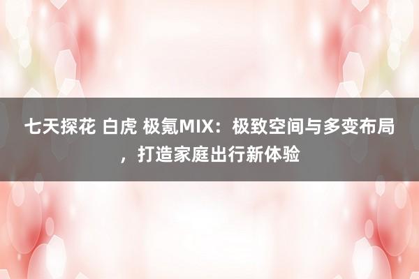 七天探花 白虎 极氪MIX：极致空间与多变布局，打造家庭出行新体验