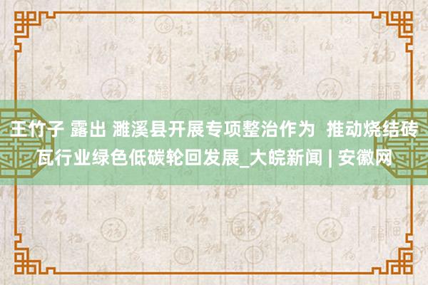 王竹子 露出 濉溪县开展专项整治作为  推动烧结砖瓦行业绿色低碳轮回发展_大皖新闻 | 安徽网