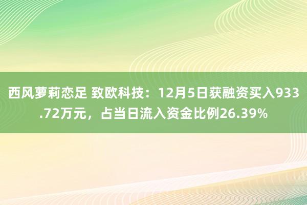 西风萝莉恋足 致欧科技：12月5日获融资买入933.72万元，占当日流入资金比例26.39%