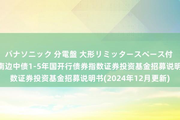 パナソニック 分電盤 大形リミッタースペース付 露出・半埋込両用形 南边中债1-5年国开行债券指数证券投资基金招募说明书(2024年12月更新)