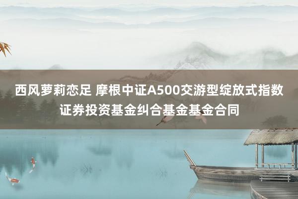 西风萝莉恋足 摩根中证A500交游型绽放式指数证券投资基金纠合基金基金合同