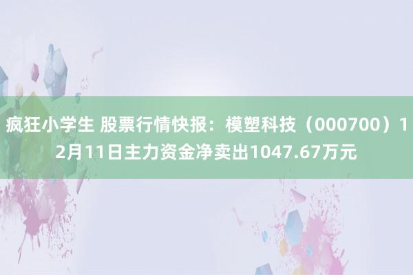 疯狂小学生 股票行情快报：模塑科技（000700）12月11日主力资金净卖出1047.67万元