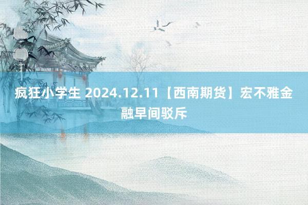 疯狂小学生 2024.12.11【西南期货】宏不雅金融早间驳斥