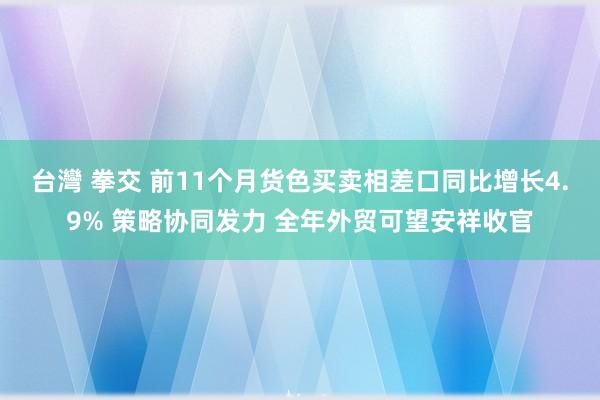 台灣 拳交 前11个月货色买卖相差口同比增长4.9% 策略协同发力 全年外贸可望安祥收官