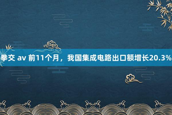 拳交 av 前11个月，我国集成电路出口额增长20.3%