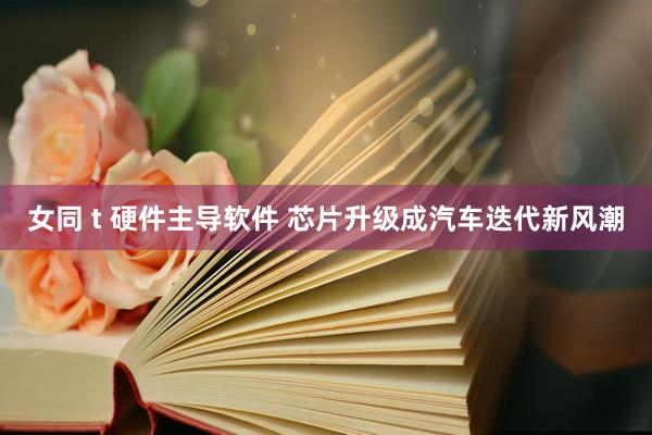 女同 t 硬件主导软件 芯片升级成汽车迭代新风潮