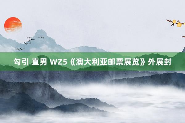 勾引 直男 WZ5《澳大利亚邮票展览》外展封