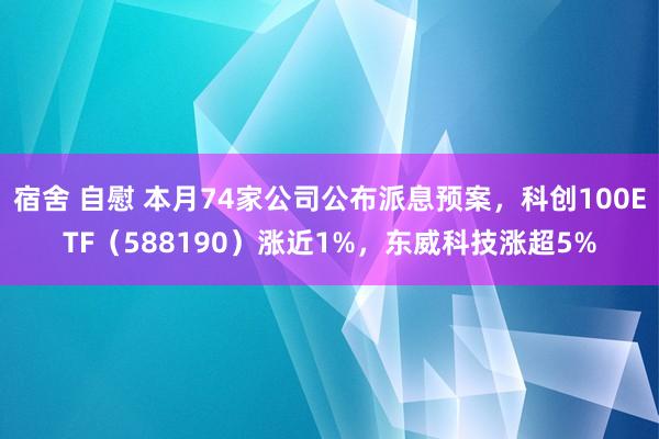 宿舍 自慰 本月74家公司公布派息预案，科创100ETF（588190）涨近1%，东威科技涨超5%