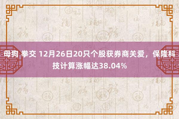 母狗 拳交 12月26日20只个股获券商关爱，保隆科技计算涨幅达38.04%