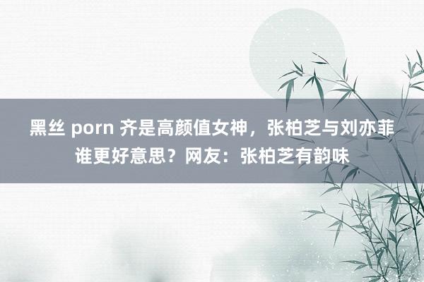 黑丝 porn 齐是高颜值女神，张柏芝与刘亦菲谁更好意思？网友：张柏芝有韵味