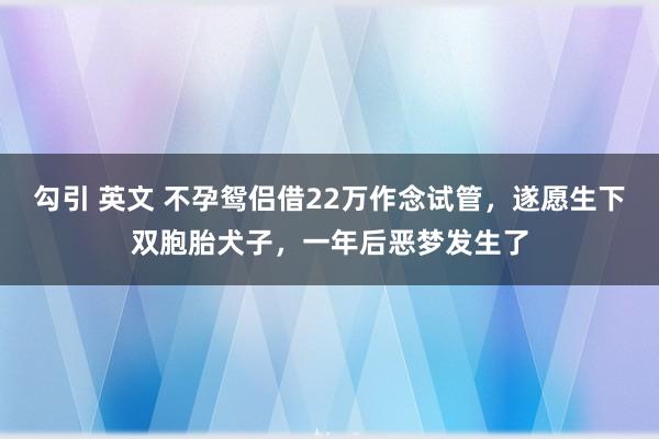 勾引 英文 不孕鸳侣借22万作念试管，遂愿生下双胞胎犬子，一年后恶梦发生了