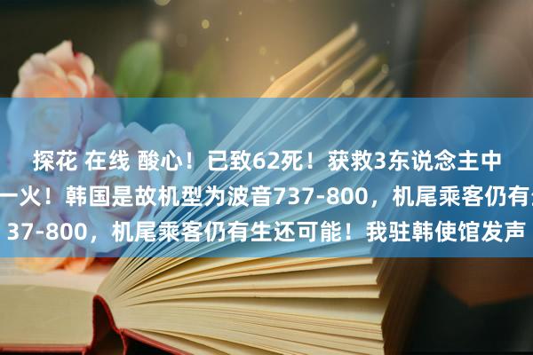 探花 在线 酸心！已致62死！获救3东说念主中1东说念主伤重不治身一火！韩国是故机型为波音737-800，机尾乘客仍有生还可能！我驻韩使馆发声