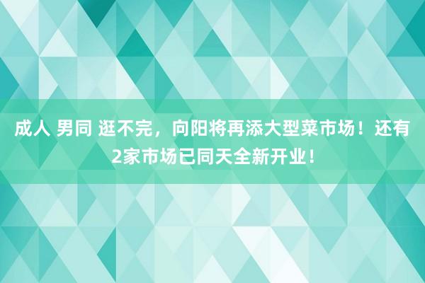 成人 男同 逛不完，向阳将再添大型菜市场！还有2家市场已同天全新开业！