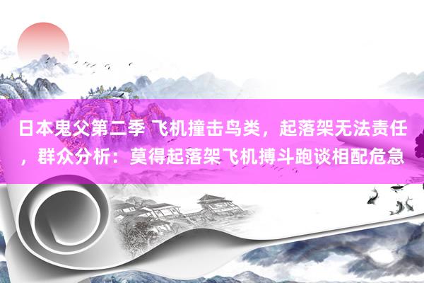 日本鬼父第二季 飞机撞击鸟类，起落架无法责任，群众分析：莫得起落架飞机搏斗跑谈相配危急