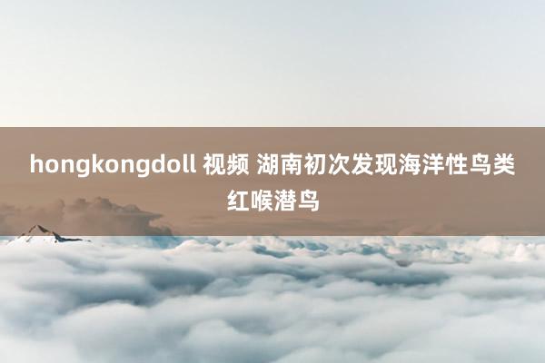 hongkongdoll 视频 湖南初次发现海洋性鸟类红喉潜鸟