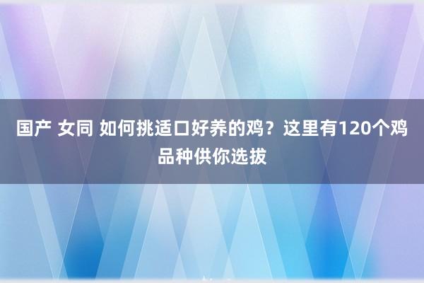 国产 女同 如何挑适口好养的鸡？这里有120个鸡品种供你选拔