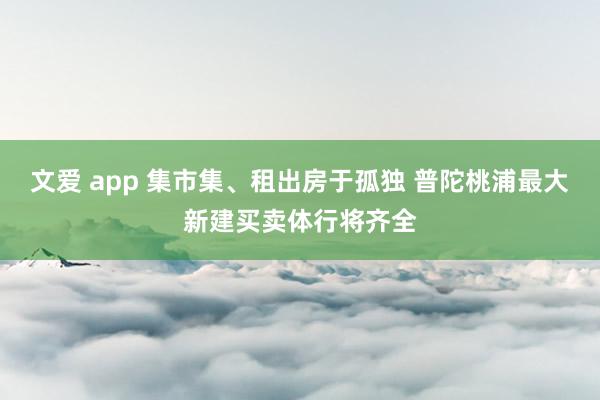 文爱 app 集市集、租出房于孤独 普陀桃浦最大新建买卖体行将齐全