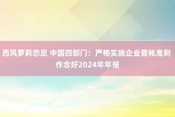 西风萝莉恋足 中国四部门：严格实施企业管帐准则 作念好2024年年报