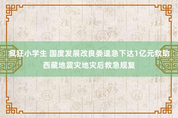 疯狂小学生 国度发展改良委遑急下达1亿元救助西藏地震灾地灾后救急规复