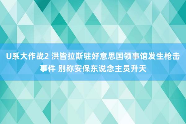 U系大作战2 洪皆拉斯驻好意思国领事馆发生枪击事件 别称安保东说念主员升天