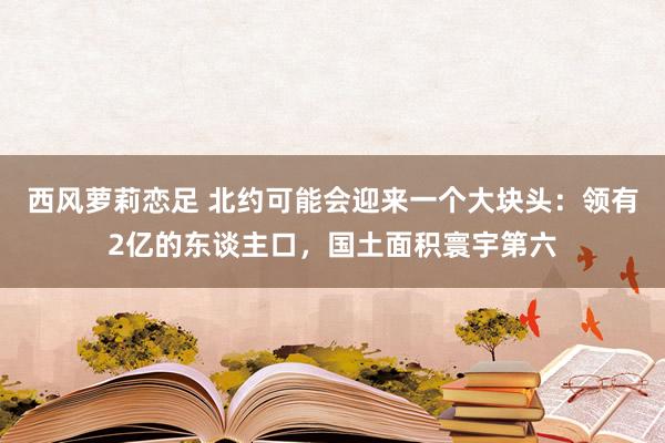 西风萝莉恋足 北约可能会迎来一个大块头：领有2亿的东谈主口，国土面积寰宇第六