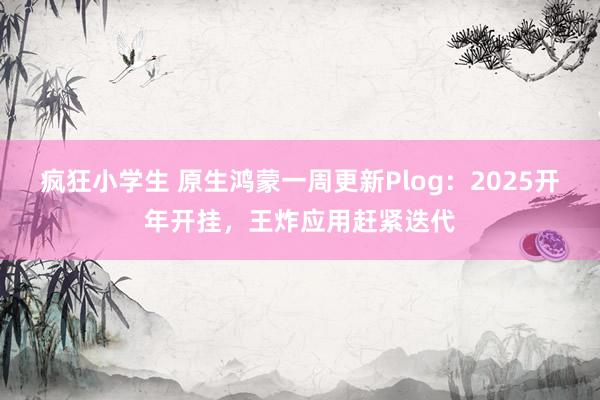 疯狂小学生 原生鸿蒙一周更新Plog：2025开年开挂，王炸应用赶紧迭代