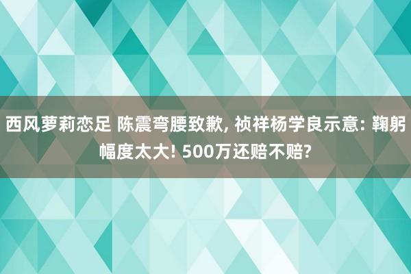 西风萝莉恋足 陈震弯腰致歉， 祯祥杨学良示意: 鞠躬幅度太大! 500万还赔不赔?