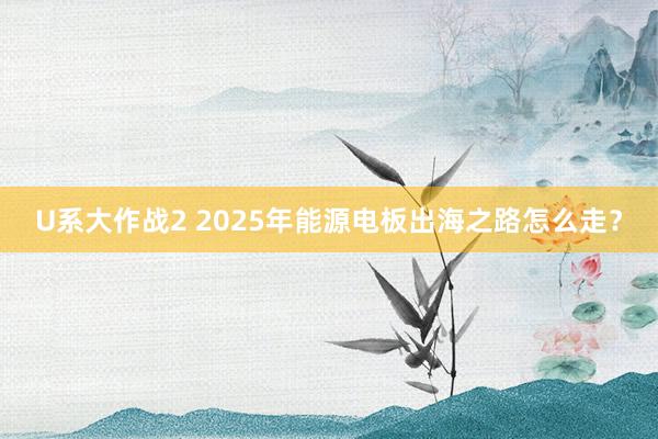 U系大作战2 2025年能源电板出海之路怎么走？